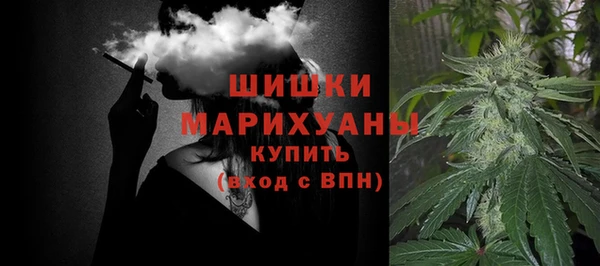 спиды Инсар
