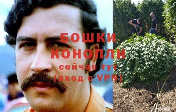амф Зеленокумск