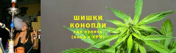 амф Зеленокумск